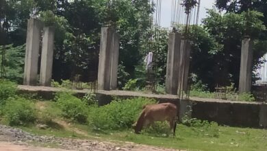 Photo of अर्धरात्री भूमिपूजन केलेल्या सिरोंचा येथील बसस्थानकाची बांधकाम आजही अर्धवटच !